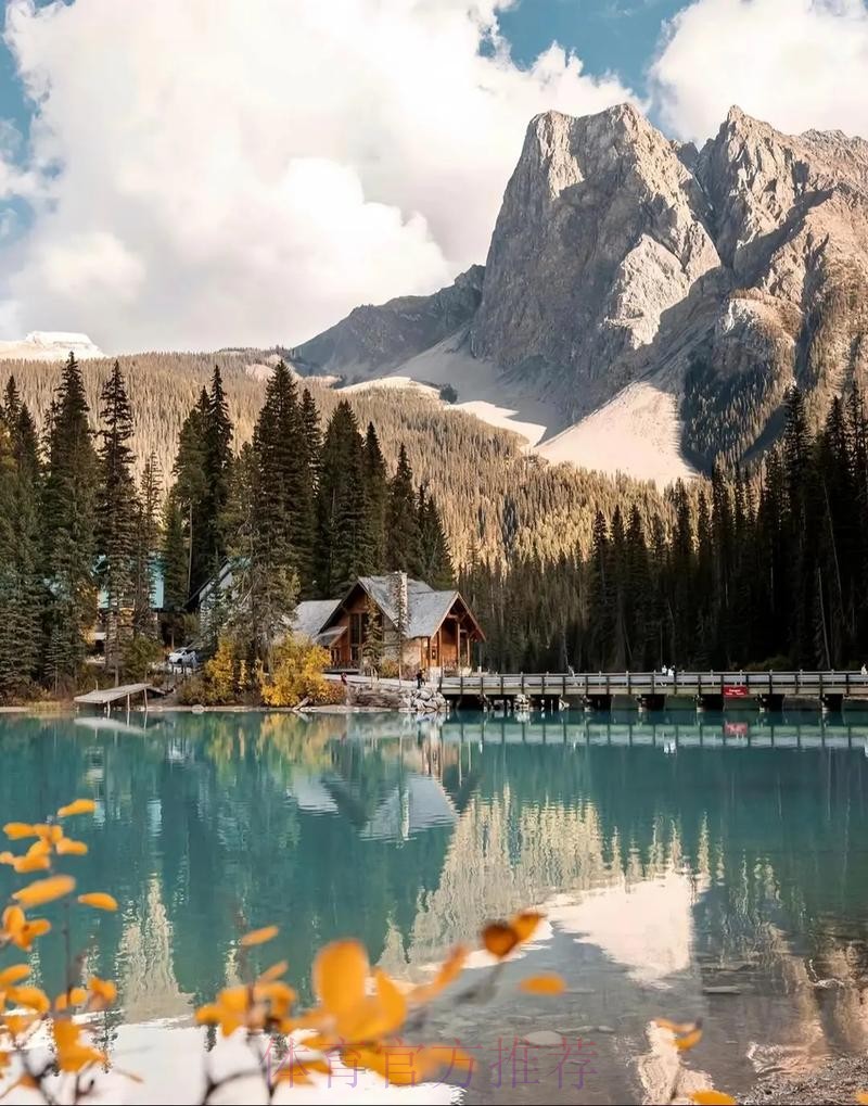 2026美加墨世界杯免费观看哪个平台好